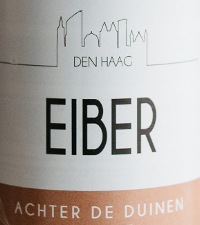 EIBER logo