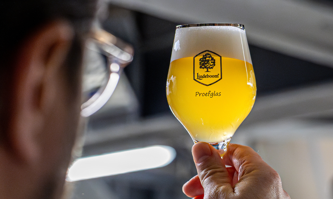 Man houdt een Lindeboom proefglas met bier omhoog in brouwerij.