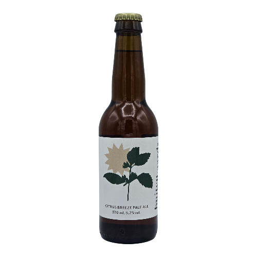 Buiten Aards Citrus Breeze Pale Ale - Pale Ale Speciaalbier - Bestel dit bij Bierbink.nl