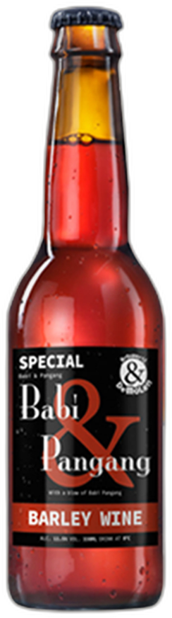 De Molen Babi & Pangang flesje van 33cl